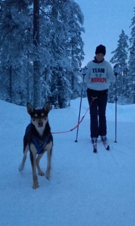 När jag hittade "Team Rudolf"-tröjan av en slump tyckte jag att det är lite synd att vi inte tävlar. Men man kan vara starka tillsammans vid många andra tillfällen! När jag hittade "Team Rudolf"-tröjan av en slump tyckte jag att det är lite synd att vi inte tävlar. Men man kan vara starka tillsammans vid många andra tillfällen!