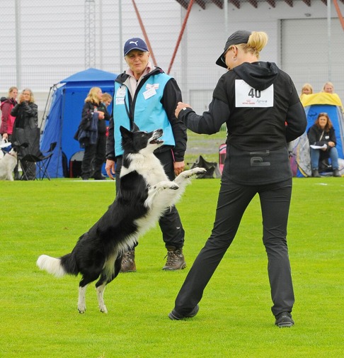 Vårt viktigaste mål - 100% arbetsglädje! Foto: Lotta Hägglund Vårt viktigaste mål - 100% arbetsglädje! Foto: Lotta Hägglund