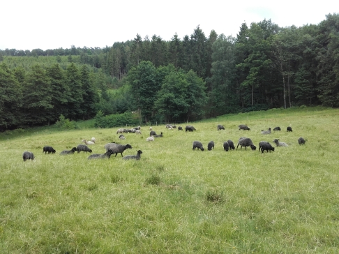 Ett av våra sommarbeten Ett av våra sommarbeten