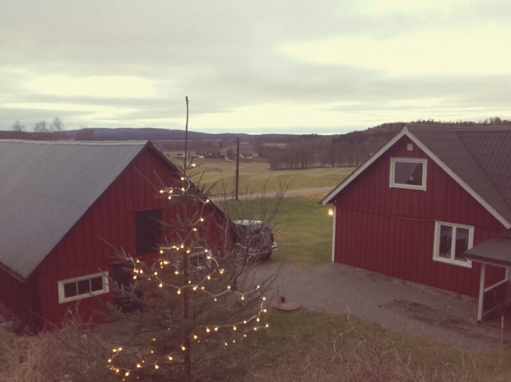 Jag trodde aldrig att jag skulle lämna huset vi bor i nu. Men detta läge var svårt att tacka nej till. Havsutsikt är kanske en överdrift, men från berget på tomten och från andra våning så kan man skymta hav och förbipasserande färjor i horisonten. Det bästa är att det är en vy som inte kan försvinna, eftersom marken ner till dalen tillhör gården. Jag trodde aldrig att jag skulle lämna huset vi bor i nu. Men detta läge var svårt att tacka nej till. Havsutsikt är kanske en överdrift, men från berget på tomten och från andra våning så kan man skymta hav och förbipasserande färjor i horisonten. Det bästa är att det är en vy som inte kan försvinna, eftersom marken ner till dalen tillhör gården.