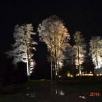 Belysning av träd