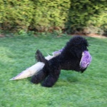 IMG_9441 IMG_9441