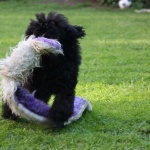 IMG_9491 IMG_9491