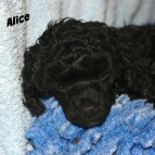 IMG_1663 IMG_1663