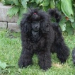 IMG_1657 IMG_1657