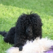 IMG_9410 IMG_9410