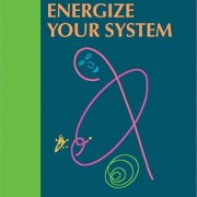 Energize Your System DVD