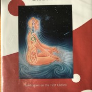 The First Chakra DVD