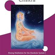 The Seventh Chakra DVD