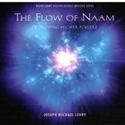 Flow of Naam, The - JM Levry/Gurunam CD