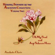 Aap Sahai Hoa, Oh my Soul -CD
