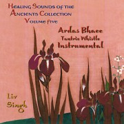 Ardas Bhaee instrumental - CD