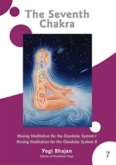 The Seventh Chakra DVD