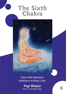 The Sixth Chakra DVD