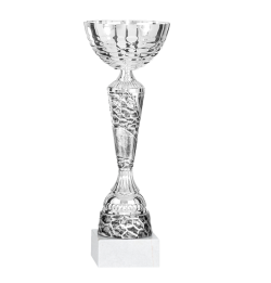 Pokal Roskilde