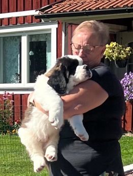 Knut med Kennel-mamma Karin