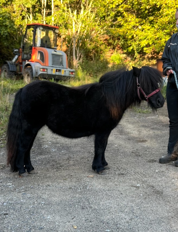 Eiden 16 mån gammal