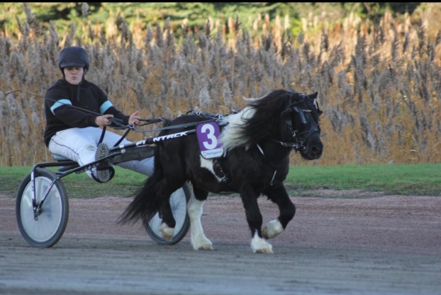 Debut på travet slutade med VINST (november 2024). Foto: Ann-Louise Sjöstedt