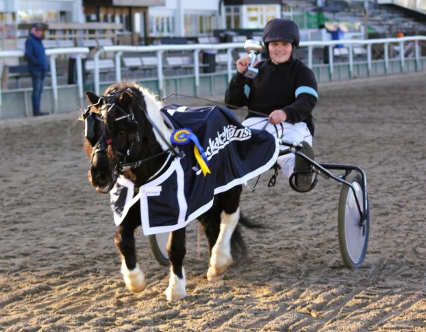 Travdebut med vinst!! Foto: Ann-Louise Sjöstedi. Kusk: Marie Fallstam.