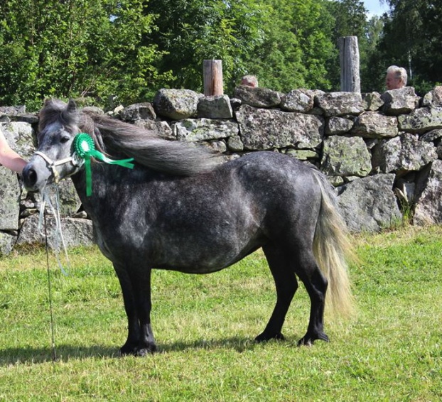 Just vid stopremieringen i Tingsryd sommaren 2014 (4år gammal)