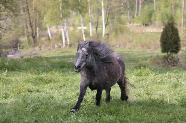 Just våren 2014 (några månader efter hon kom till oss)