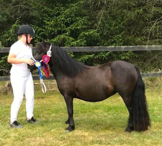 Nic Harmnica of Lady's Holm - best 3 year old with 98898=42 points.