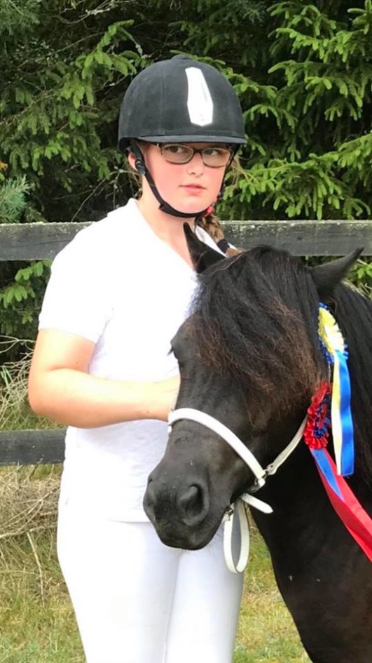 Wida showed several of our Shetlands this year including Nic Harmonica!