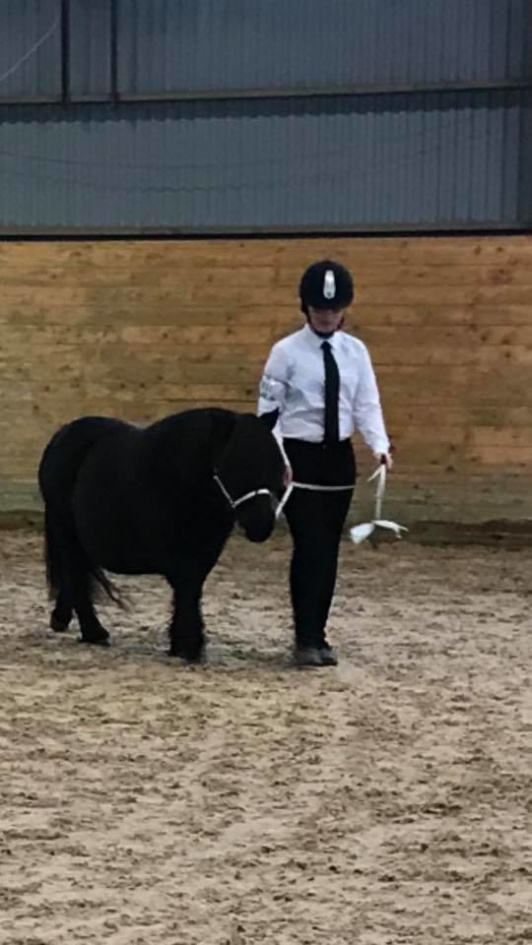 Wida qualifying to national handler.