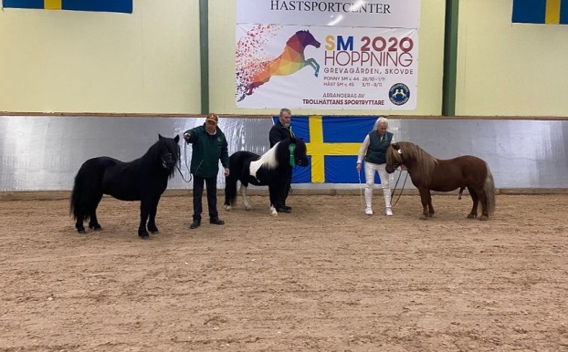 Quince i mitten med husse och kompisarna Lord och Lyric.