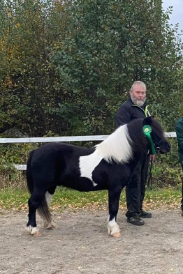 Husse med Quince vid godkännandet.