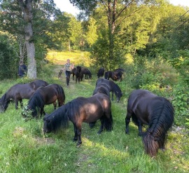 Med kompisarna sommaren (juli)  2021