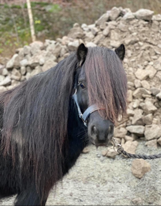 MacBuffay säljs december 2020