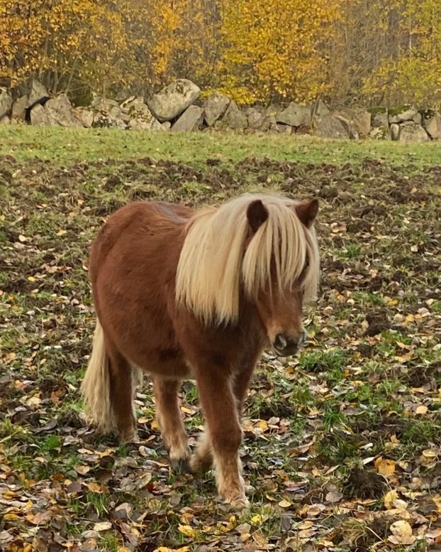 Oktober 2021 (16mån)