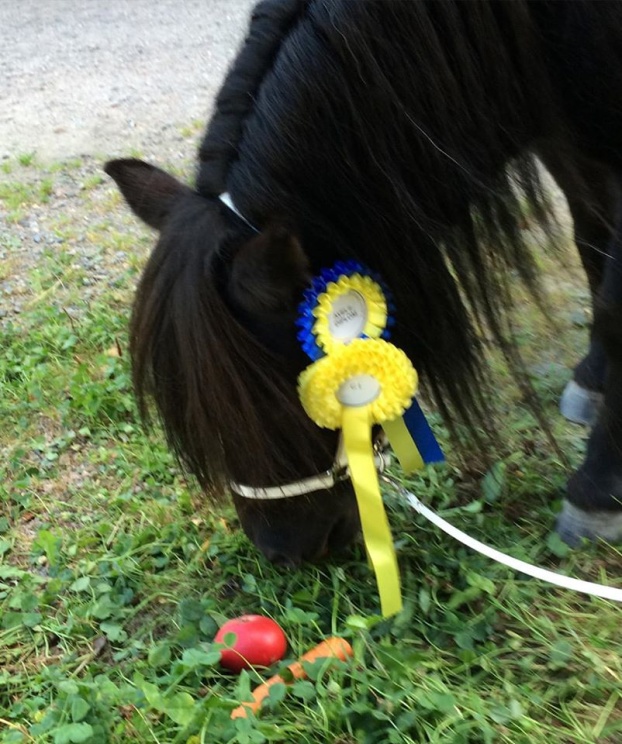 Sympho vid 3-årspremiering