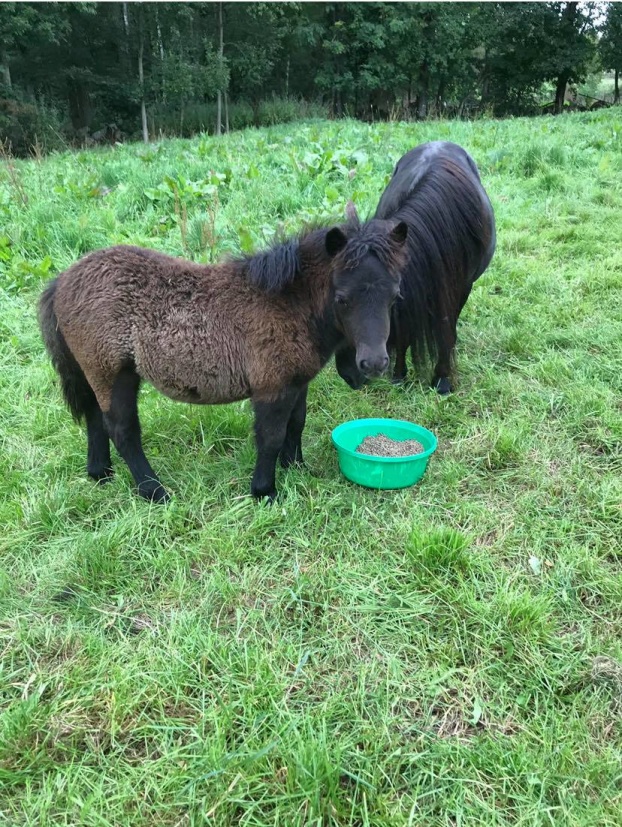 Rose E med mamma Rosalee augusti 2019