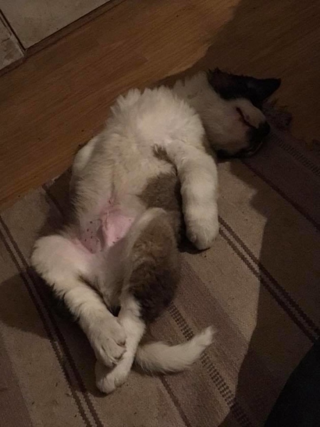 Varit hemma i 2 dagar.
