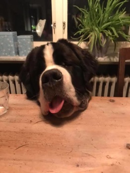 9mån