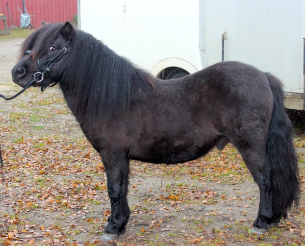 3 år
