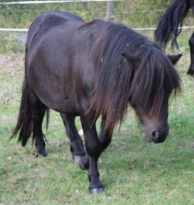 2 år (aug 2019)