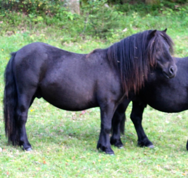 2år ( aug 2019)