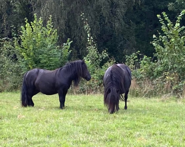Rhianna (t h) med bästa väninnan Rosalee i augusti 2021