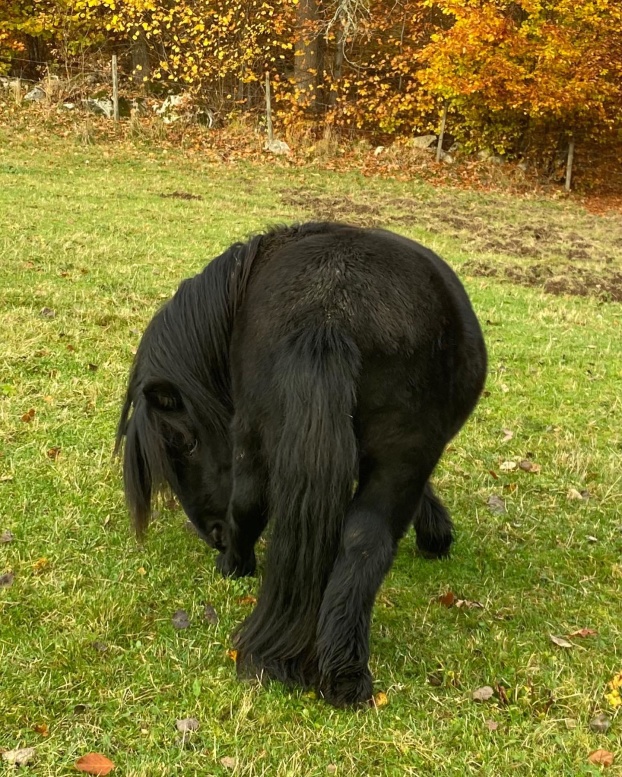 Oktober 2021