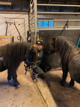 Wida med Buffen o Vigge innan avfärd 12/12 2020