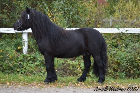 Foto: Annette Wadman (2020).