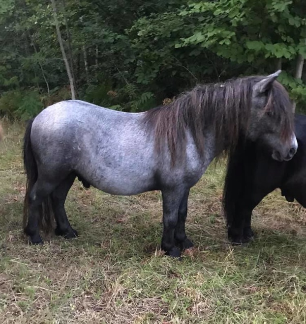 2år (aug 19)