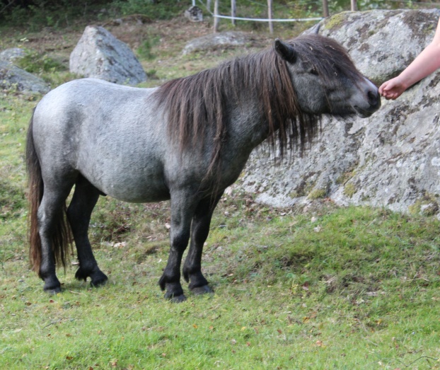2år (aug 2019)