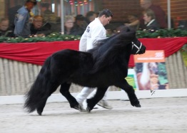 Pappa Alex vid show i NL
