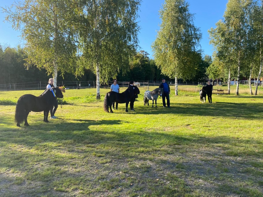 Våra vänner samlade vid AV 2021 (Malin, Pernilla & Sophia)