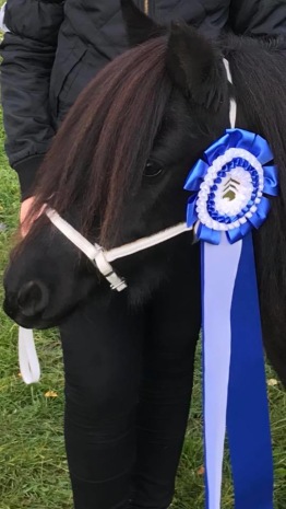 Jappa 2018 (13år gammal)