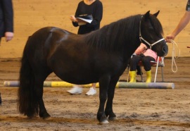 Mamma Femke.